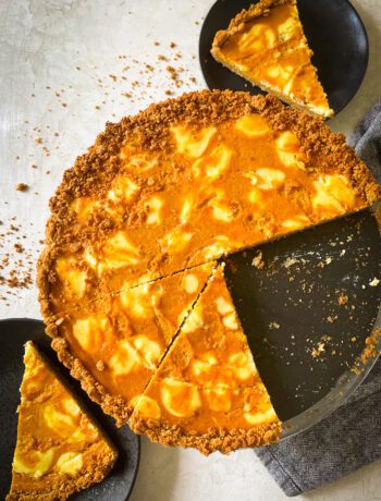 Marbled Pumpkin Cheesecake Tart | Sarcastic Cooking